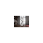 Preview: AEG AB51C1SW - Bodenstaubsauger - Shell White