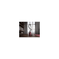 Preview: AEG AB51C1DR5B - Bodenstaubsauger - Dark Red