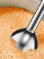 Preview: Bosch MSM2620B, Stabmixer