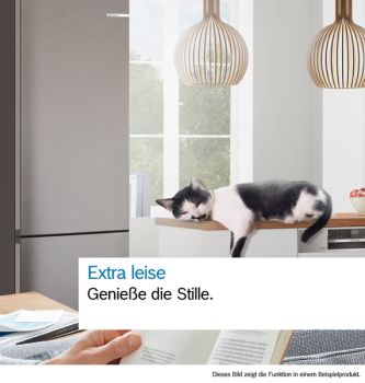Bosch KGN392LAG, Freistehende Kühl-Gefrier-Kombination mit Gefrierbereich unten