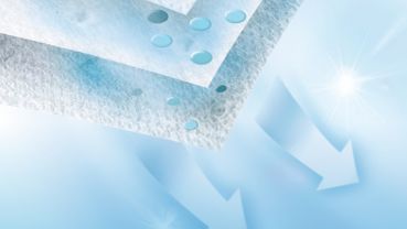 Bosch BBZGALLECO, Staubbeutel