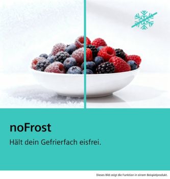 Siemens GS29NVWEP, Freistehender Gefrierschrank