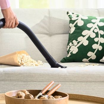 Bosch BGDS2CHAMP, Staubsauger mit Beutel