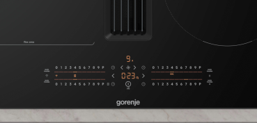 Gorenje GEH6432BSCWF