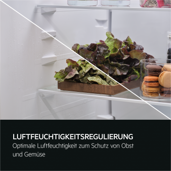 AEG OSC5S183ES - Kühl- / Gefrierkombination - Weiß