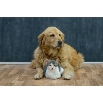 Preview: Electrolux EFDFRH6 - Zubehör