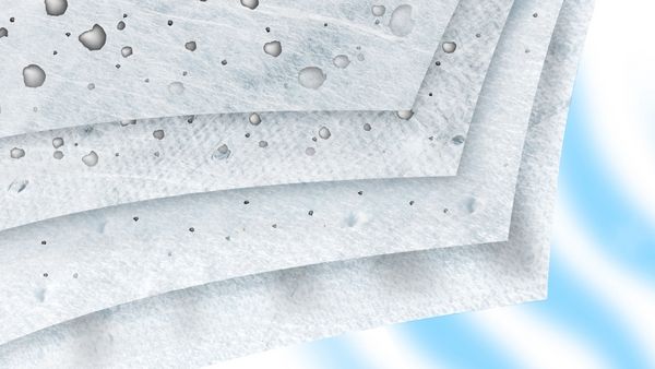 Bosch BBZGALLECO, Staubbeutel