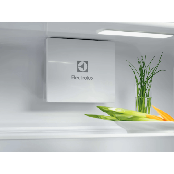 Electrolux ERD6DE18S1 - Kühlschrank - Weiß