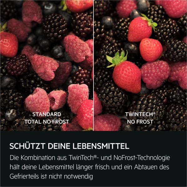 AEG TSC8M183CC - Kühl- / Gefrierkombination - Weiß