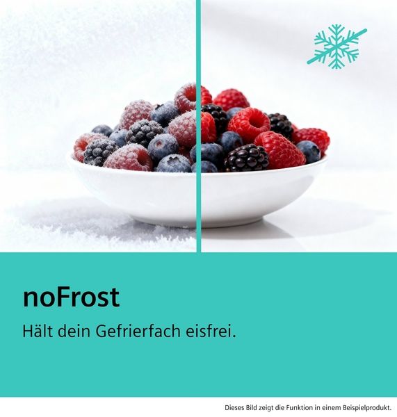 Siemens GS29NVWEP, Freistehender Gefrierschrank