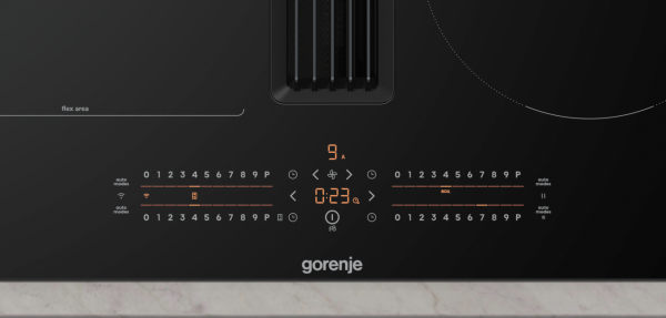 Gorenje GEH6432BSCWF