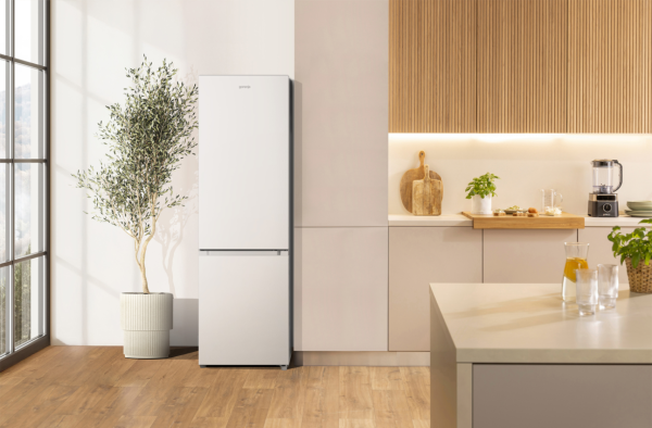 Gorenje RK418DPW4I - Kühl- / Gefrierkombination