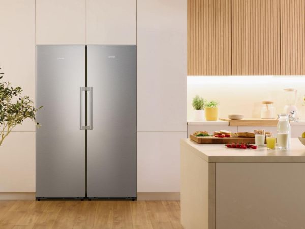 Gorenje FNC618C6XWF - Gefriergeräte - Silber