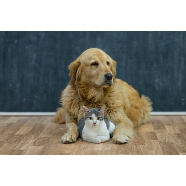 Electrolux EFDFRH6 - Zubehör